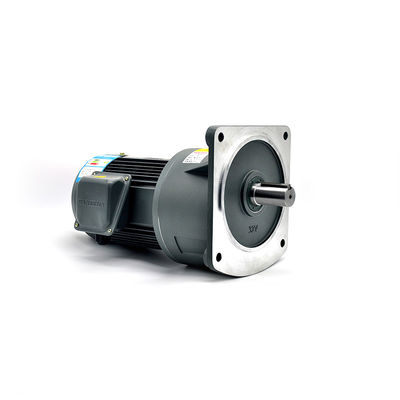 IP55 60 RPM AC Motor 50Hz Vertical Gear Motor Kapasitas Beban Tinggi
